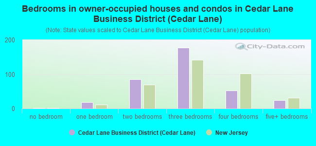 Bedrooms in owner-occupied houses and condos in Cedar Lane Business District (Cedar Lane)