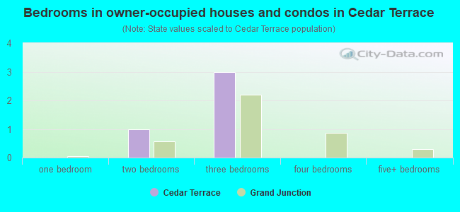 Bedrooms in owner-occupied houses and condos in Cedar Terrace