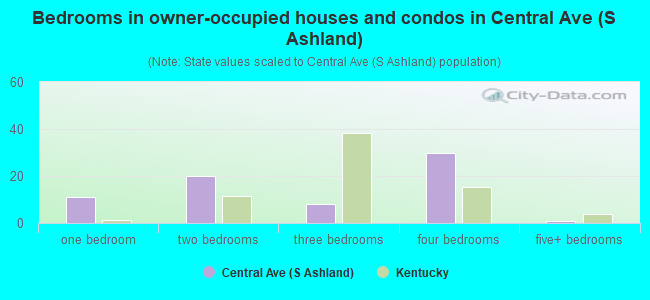 Bedrooms in owner-occupied houses and condos in Central Ave (S Ashland)