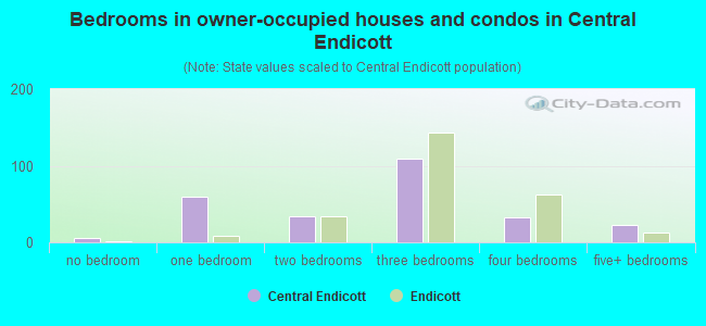 Bedrooms in owner-occupied houses and condos in Central Endicott