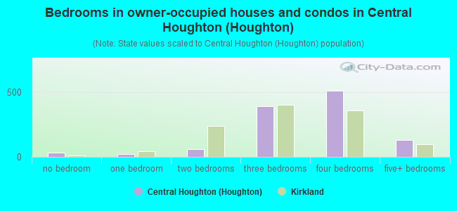 Bedrooms in owner-occupied houses and condos in Central Houghton (Houghton)