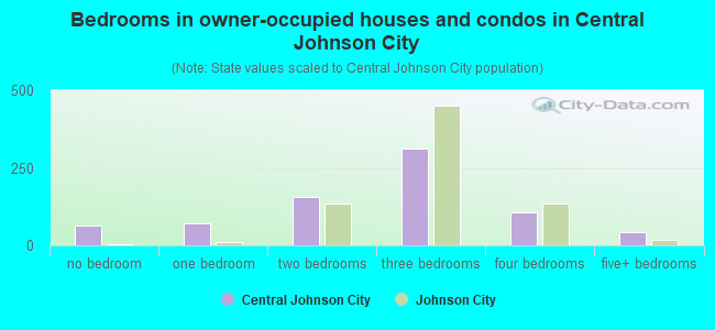 Bedrooms in owner-occupied houses and condos in Central Johnson City