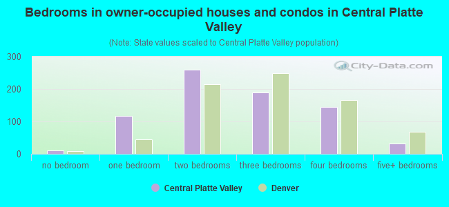 Bedrooms in owner-occupied houses and condos in Central Platte Valley