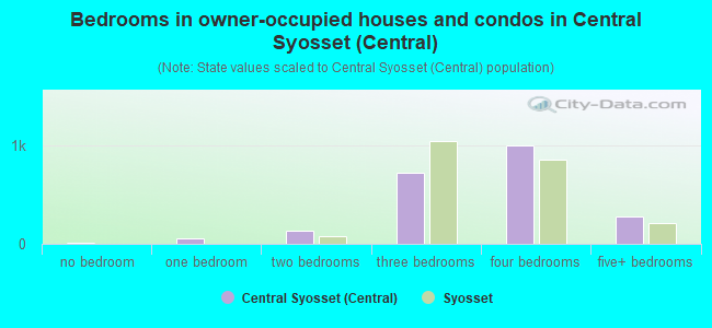 Bedrooms in owner-occupied houses and condos in Central Syosset (Central)