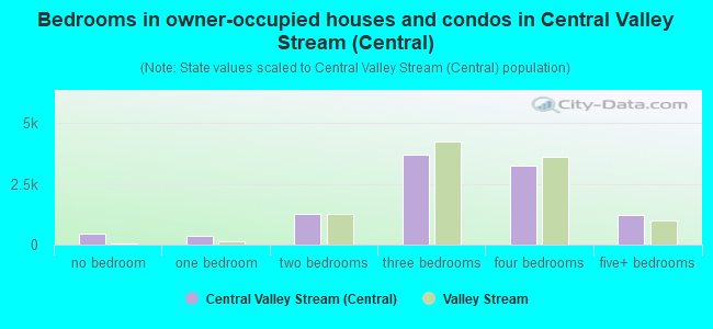 Bedrooms in owner-occupied houses and condos in Central Valley Stream (Central)