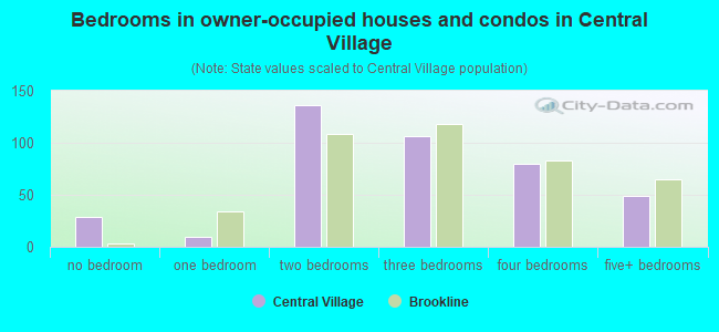 Bedrooms in owner-occupied houses and condos in Central Village
