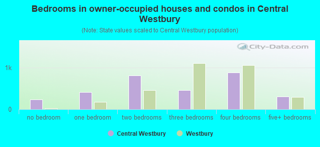 Bedrooms in owner-occupied houses and condos in Central Westbury
