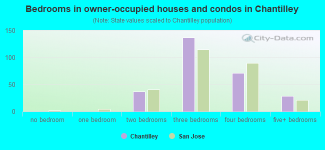 Bedrooms in owner-occupied houses and condos in Chantilley