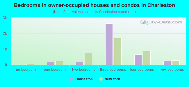 Bedrooms in owner-occupied houses and condos in Charleston