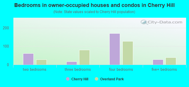 Bedrooms in owner-occupied houses and condos in Cherry Hill