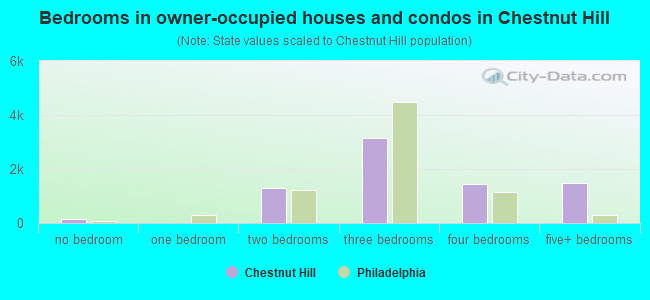 Bedrooms in owner-occupied houses and condos in Chestnut Hill