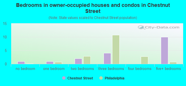Bedrooms in owner-occupied houses and condos in Chestnut Street