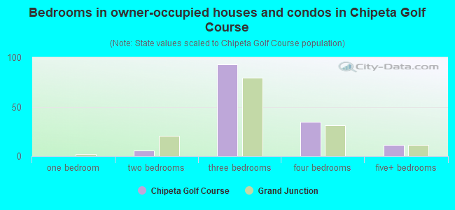 Bedrooms in owner-occupied houses and condos in Chipeta Golf Course