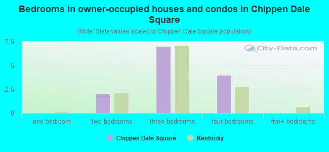 Bedrooms in owner-occupied houses and condos in Chippen Dale Square