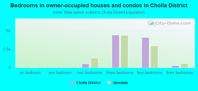 Bedrooms in owner-occupied houses and condos in Cholla District