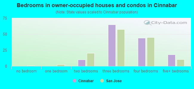 Bedrooms in owner-occupied houses and condos in Cinnabar