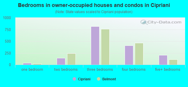 Bedrooms in owner-occupied houses and condos in Cipriani