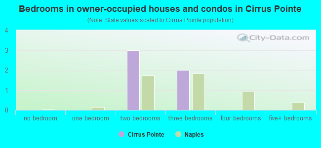 Bedrooms in owner-occupied houses and condos in Cirrus Pointe
