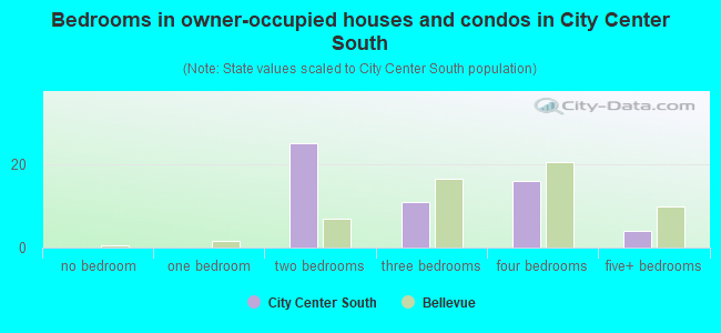 Bedrooms in owner-occupied houses and condos in City Center South