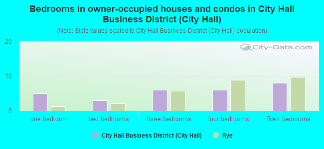 Bedrooms in owner-occupied houses and condos in City Hall Business District (City Hall)