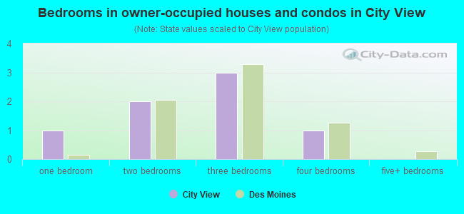 Bedrooms in owner-occupied houses and condos in City View