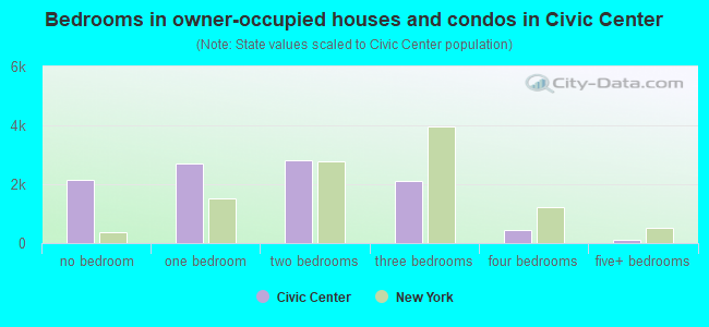Bedrooms in owner-occupied houses and condos in Civic Center