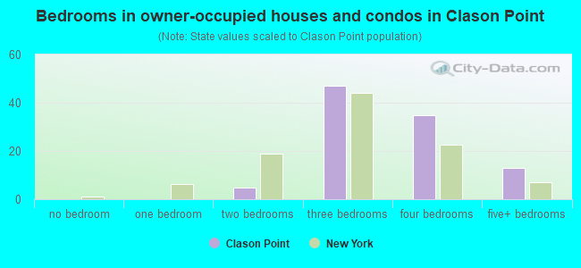 Bedrooms in owner-occupied houses and condos in Clason Point