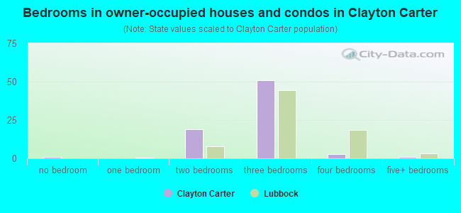 Bedrooms in owner-occupied houses and condos in Clayton Carter