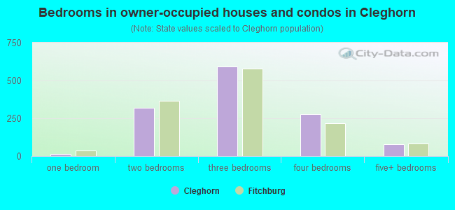 Bedrooms in owner-occupied houses and condos in Cleghorn