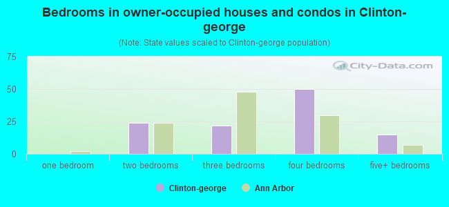 Bedrooms in owner-occupied houses and condos in Clinton-george
