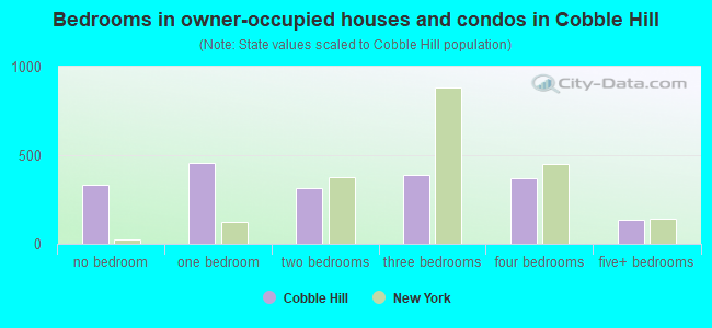 Bedrooms in owner-occupied houses and condos in Cobble Hill