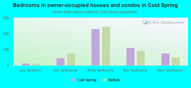 Bedrooms in owner-occupied houses and condos in Cold Spring