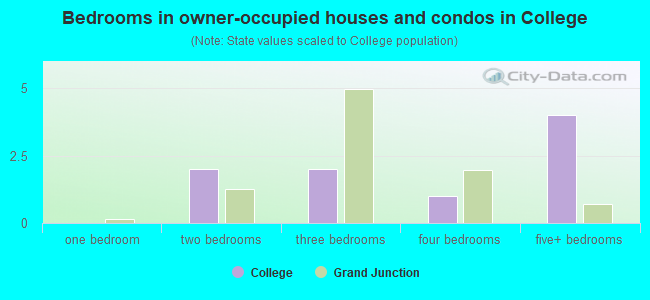 Bedrooms in owner-occupied houses and condos in College