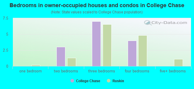 Bedrooms in owner-occupied houses and condos in College Chase