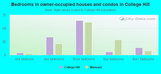 Bedrooms in owner-occupied houses and condos in College Hill