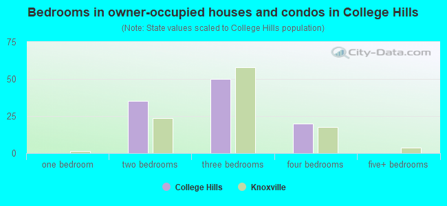 Bedrooms in owner-occupied houses and condos in College Hills