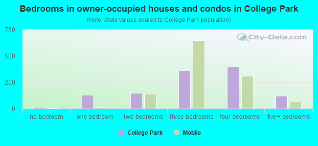 Bedrooms in owner-occupied houses and condos in College Park