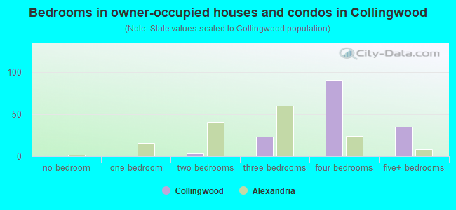 Bedrooms in owner-occupied houses and condos in Collingwood