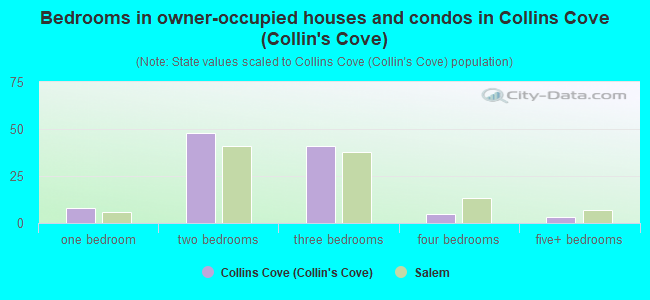 Bedrooms in owner-occupied houses and condos in Collins Cove (Collin's Cove)