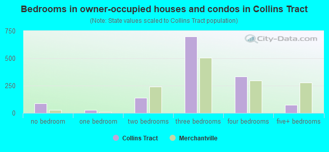 Bedrooms in owner-occupied houses and condos in Collins Tract