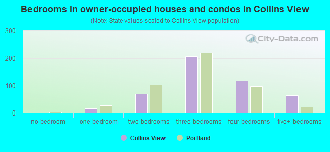 Bedrooms in owner-occupied houses and condos in Collins View