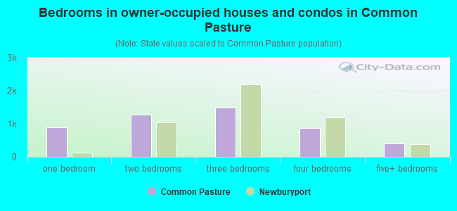 Bedrooms in owner-occupied houses and condos in Common Pasture