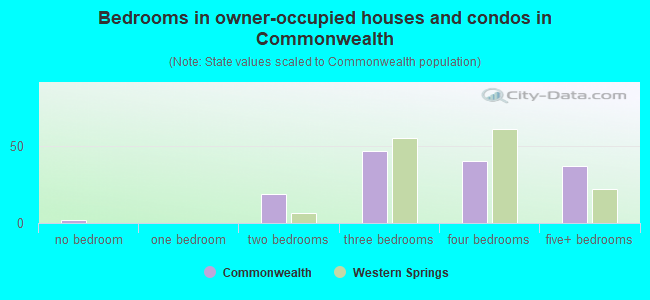 Bedrooms in owner-occupied houses and condos in Commonwealth