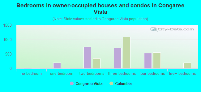 Bedrooms in owner-occupied houses and condos in Congaree Vista