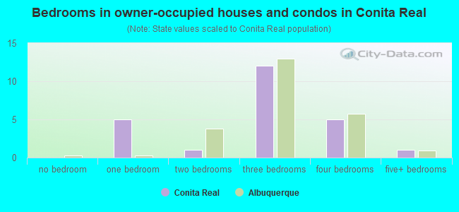 Bedrooms in owner-occupied houses and condos in Conita Real