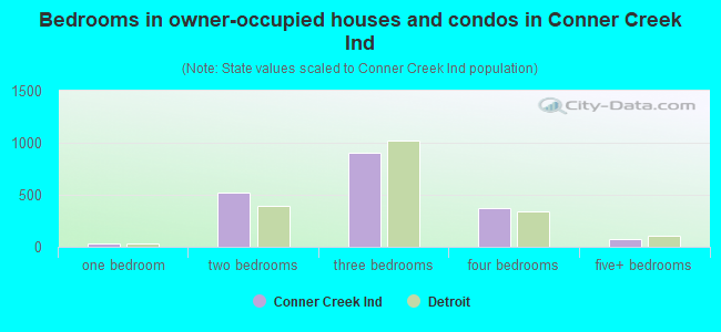 Bedrooms in owner-occupied houses and condos in Conner Creek Ind