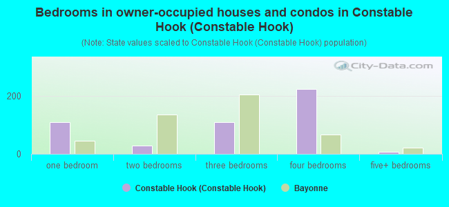 Bedrooms in owner-occupied houses and condos in Constable Hook (Constable Hook)