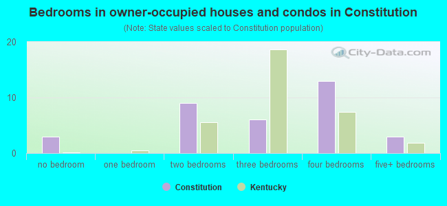 Bedrooms in owner-occupied houses and condos in Constitution