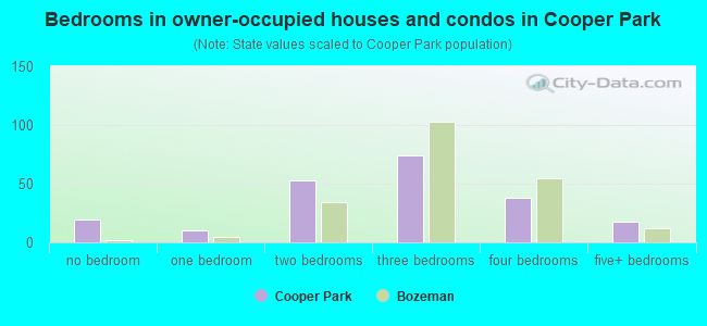 Bedrooms in owner-occupied houses and condos in Cooper Park
