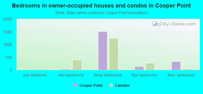 Bedrooms in owner-occupied houses and condos in Cooper Point
